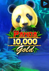 Panda Gold 10.000