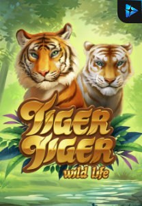 Bocoran RTP Slot Tiger Tiger Wild Life di WOWHOKI