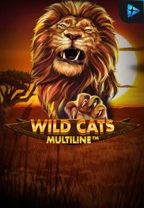 Bocoran RTP Slot Wild Cat Multiline di WOWHOKI