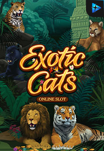 Bocoran RTP Slot exoticcats di WOWHOKI