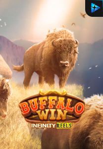 Bocoran RTP Slot Buffalo Win Infinity Reels di WOWHOKI