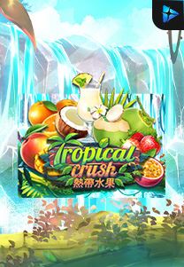 Bocoran RTP Slot Tropical-Crush di WOWHOKI
