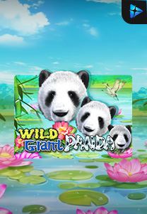 Bocoran RTP Slot Wild Giant Panda di WOWHOKI